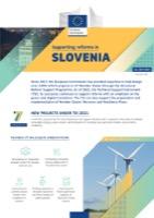 tsi_2021_country_factsheet_slovenia-thumb