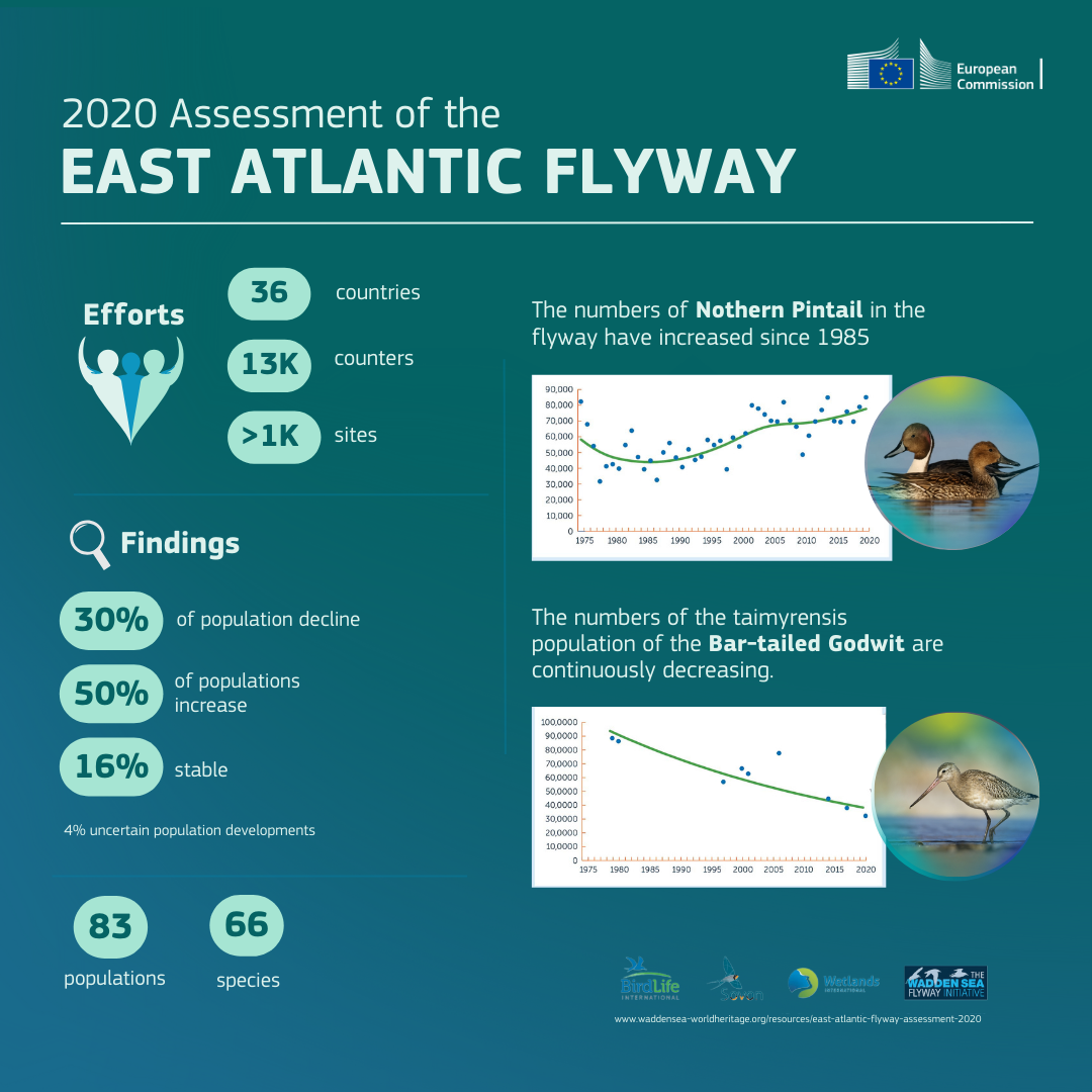 Infographic number 2