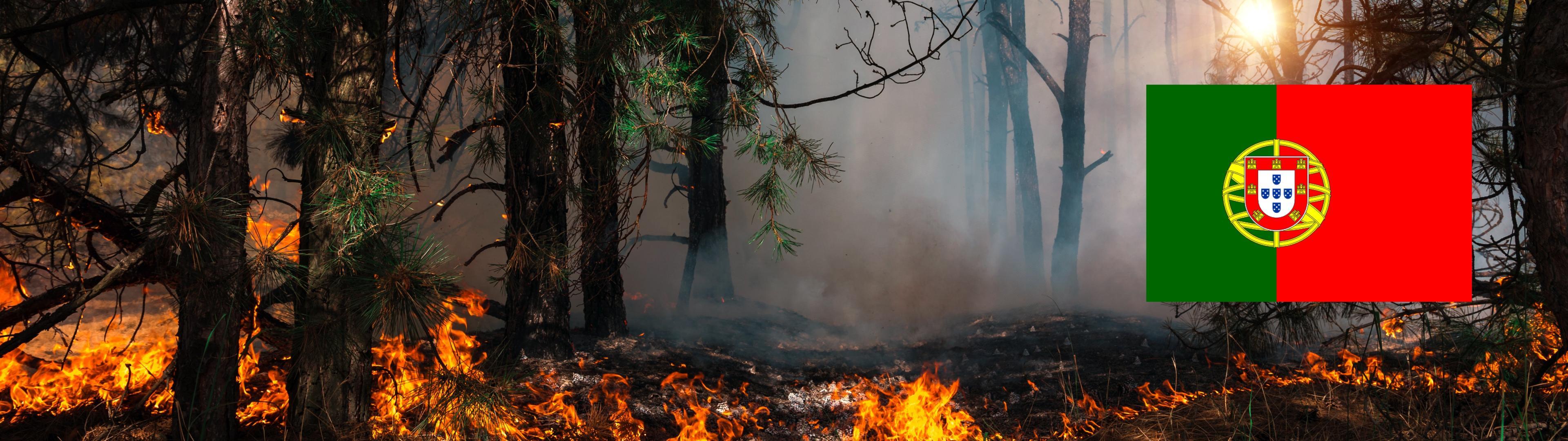Banner image for the Supporting the prevention of wildfires in Portugal page