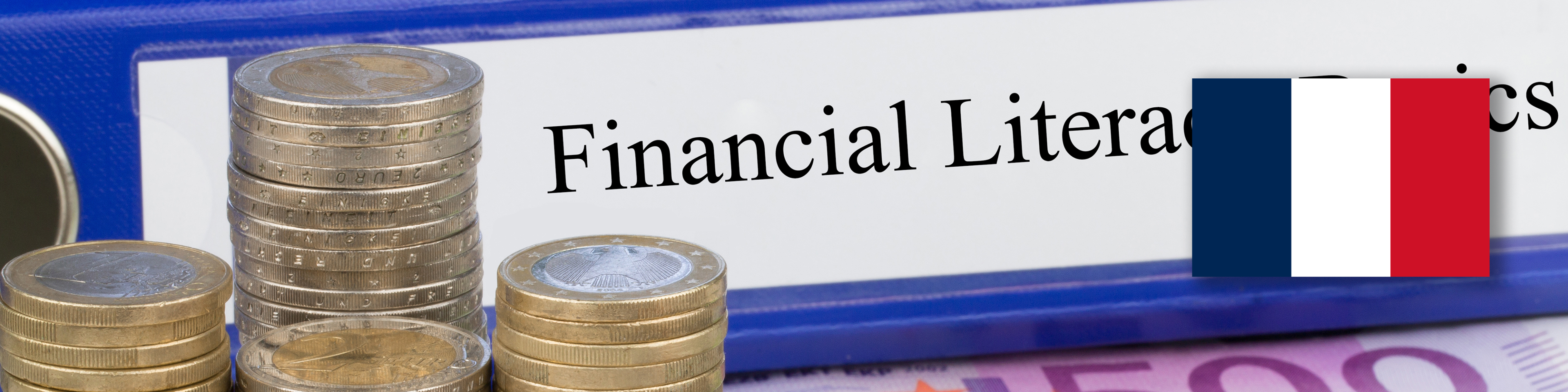Banner image for the Improving financial literacy of new retail investors for a better support in their investment decision-making process project page