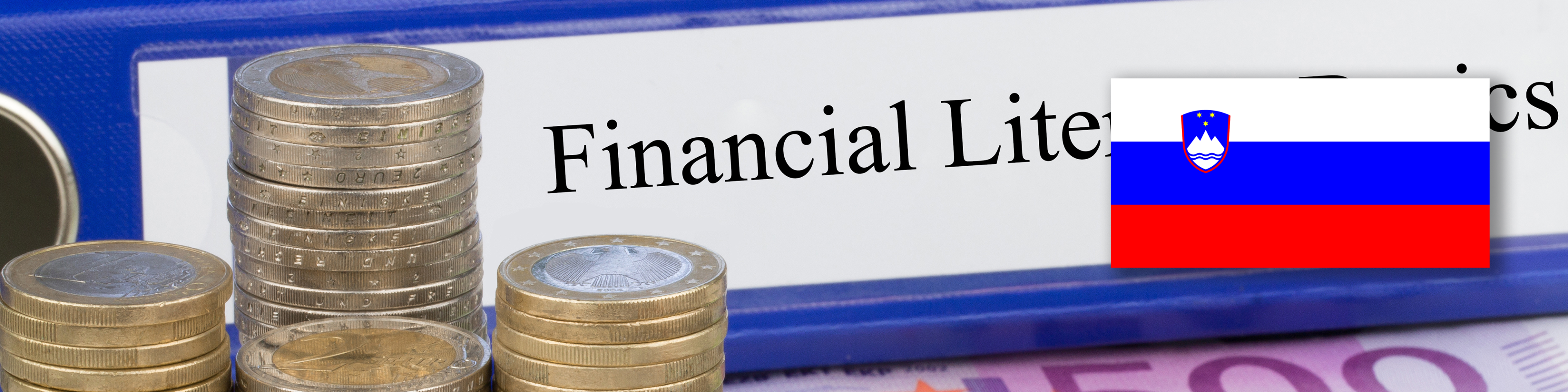 Banner image for the Financial literacy survey and educational tools project page