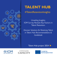 Thumbnail image for the Talent Hub: Supporting retention and intra-EU mobility of skilled migrants in Denmark and the EU publication page