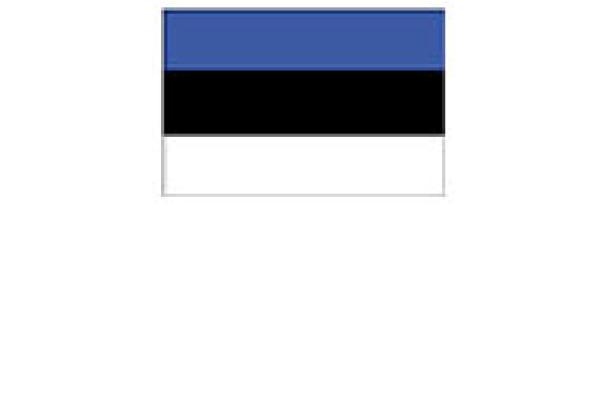 flag-estonia-in-square