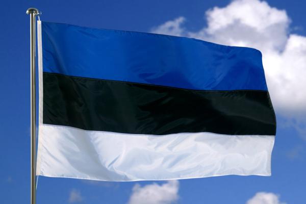 Flag of Estonia with sky
