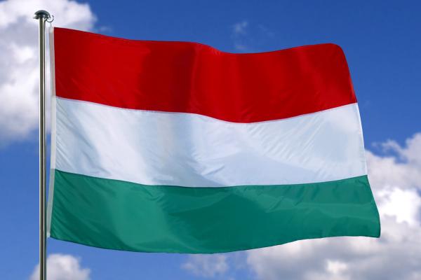 Flag of Hungary with sky