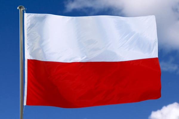 Flag of Poland with sky