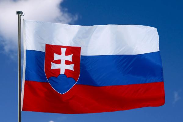 Flag of Slovakia with sky